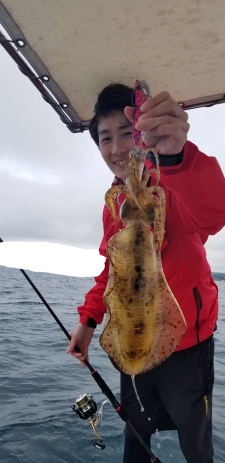 ソルトウォーターガイドフレンズ 釣果