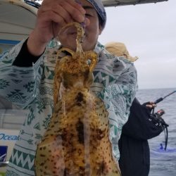 ソルトウォーターガイドフレンズ 釣果