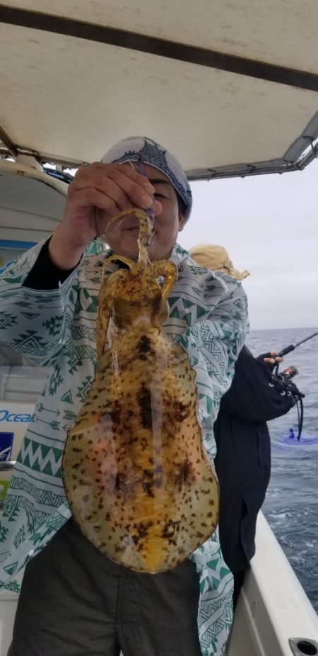 ソルトウォーターガイドフレンズ 釣果