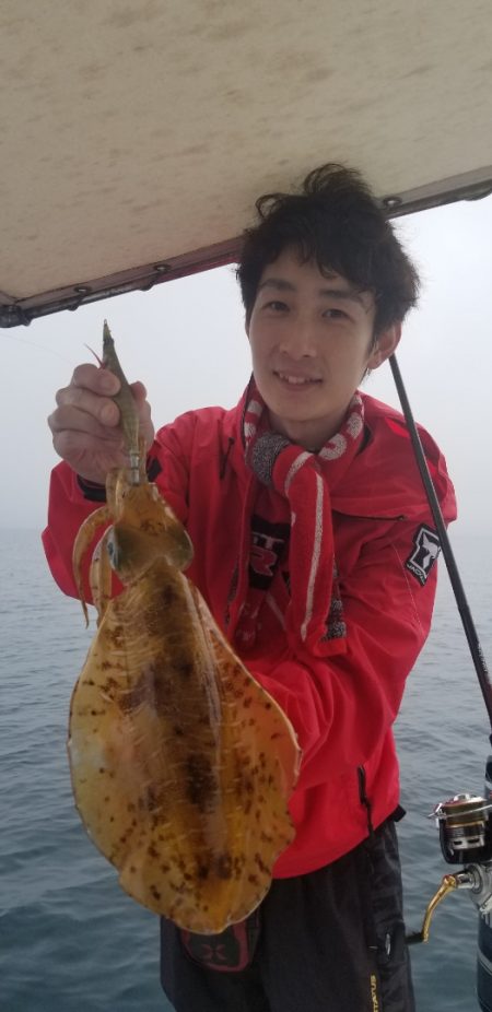 ソルトウォーターガイドフレンズ 釣果