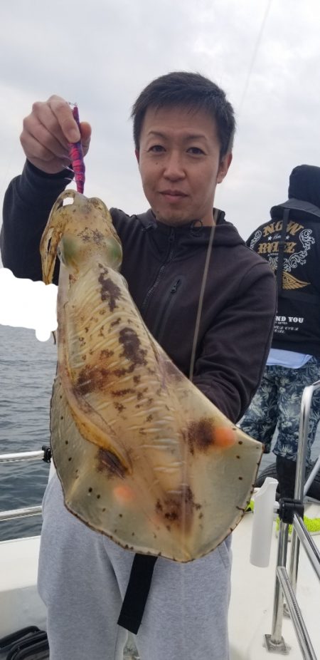 ソルトウォーターガイドフレンズ 釣果