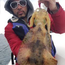 ソルトウォーターガイドフレンズ 釣果