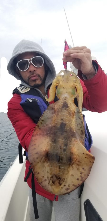 ソルトウォーターガイドフレンズ 釣果