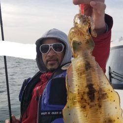 ソルトウォーターガイドフレンズ 釣果