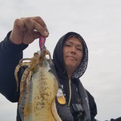 ソルトウォーターガイドフレンズ 釣果