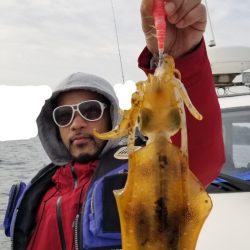 ソルトウォーターガイドフレンズ 釣果