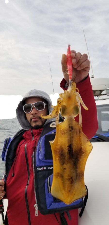 ソルトウォーターガイドフレンズ 釣果