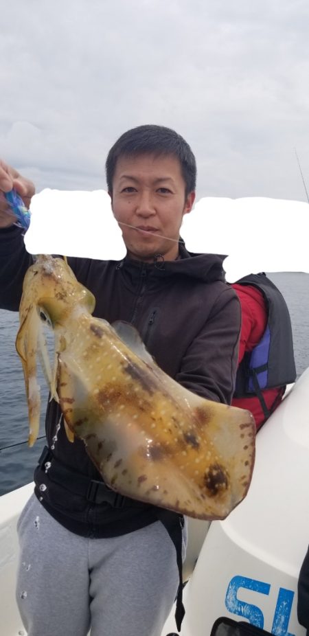 ソルトウォーターガイドフレンズ 釣果