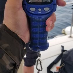 ソルトウォーターガイドフレンズ 釣果