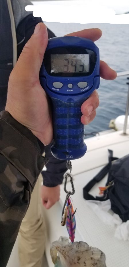 ソルトウォーターガイドフレンズ 釣果