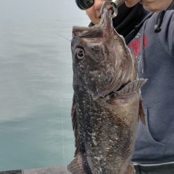 海龍丸（石川） 釣果