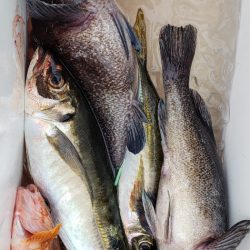 海龍丸（石川） 釣果