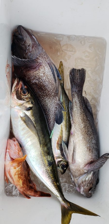 海龍丸（石川） 釣果