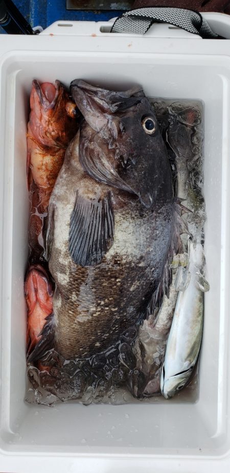 海龍丸（石川） 釣果