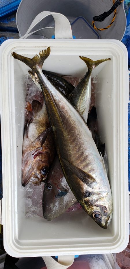 海龍丸（石川） 釣果