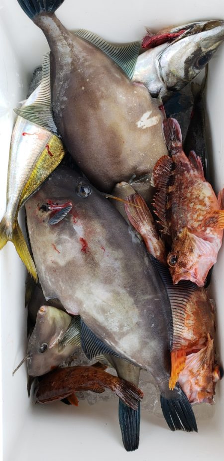 海龍丸（石川） 釣果