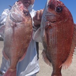 第三共栄丸 釣果