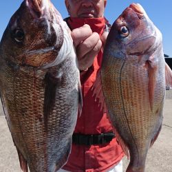 第三共栄丸 釣果