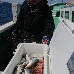 金沢八景鴨下丸 釣果