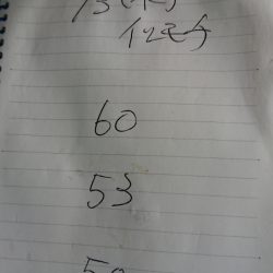 金沢八景鴨下丸 釣果