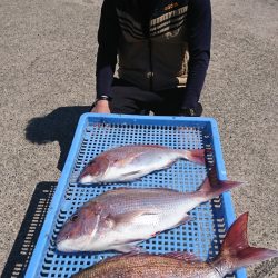 第三共栄丸 釣果