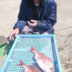 第三共栄丸 釣果