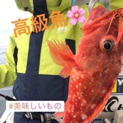 龍神丸（鹿児島） 釣果