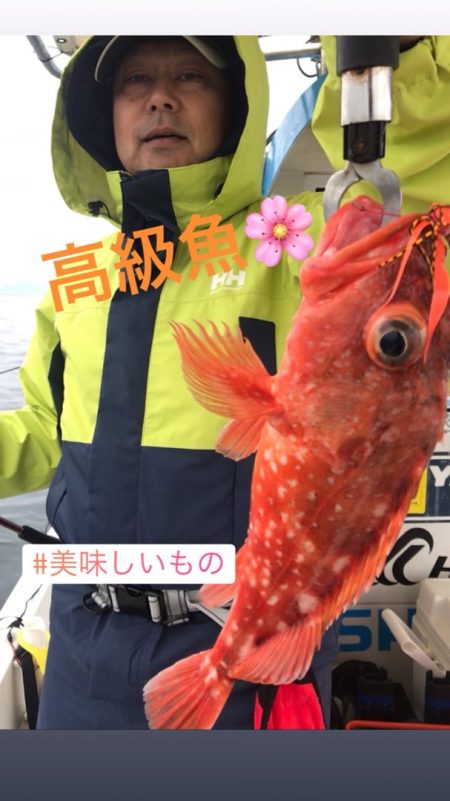 龍神丸（鹿児島） 釣果