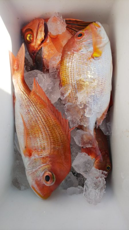 第二龍勢丸 釣果