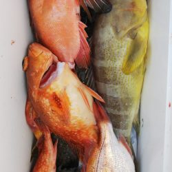 第二龍勢丸 釣果