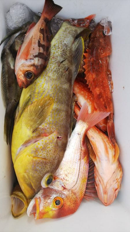 第二龍勢丸 釣果