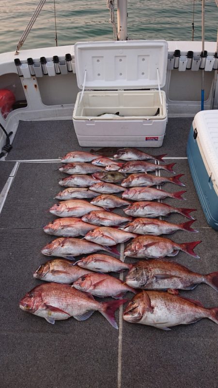 ARCADIAⅡ (アルカディアⅡ) 釣果