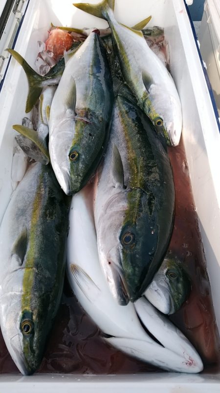 LUSTER『ラスター』 釣果