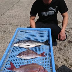 第三共栄丸 釣果