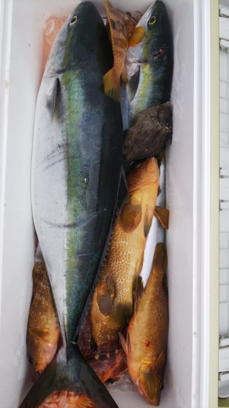 第二龍勢丸 釣果