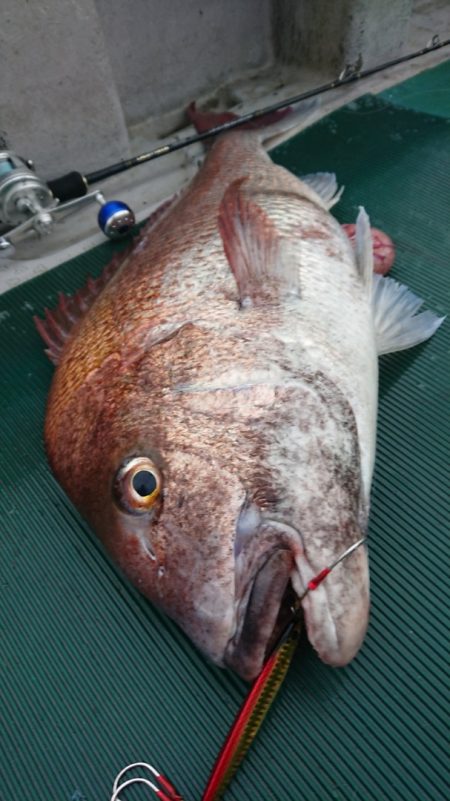 鷹王丸 釣果