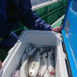 金沢八景鴨下丸 釣果