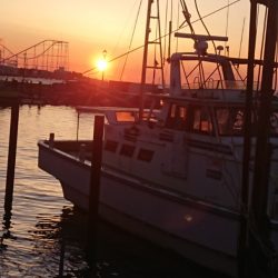 金沢八景鴨下丸 釣果