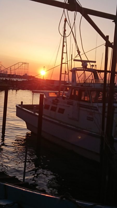 金沢八景鴨下丸 釣果