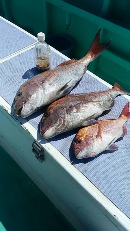 富士丸 釣果