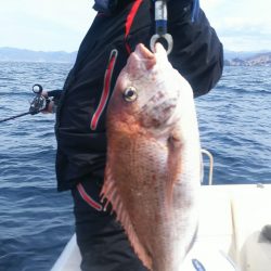 ブルドック 釣果