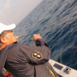 海皇丸 釣果