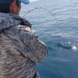 海皇丸 釣果