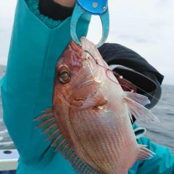 新幸丸 釣果