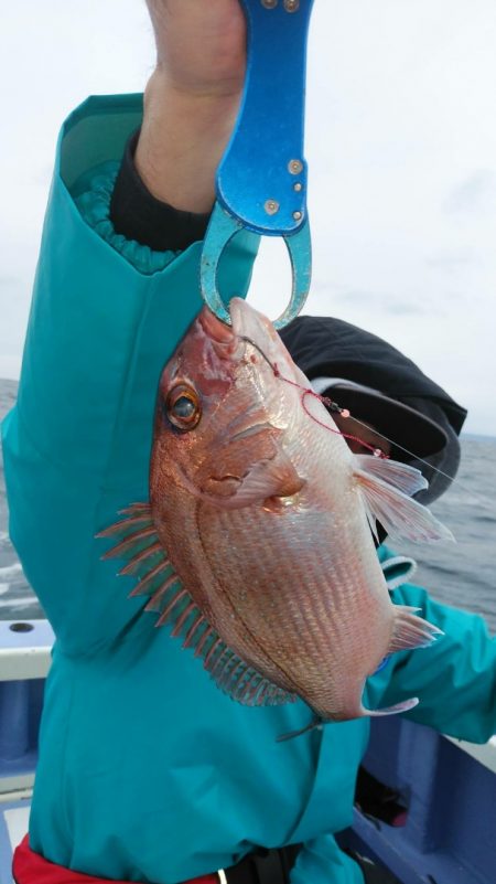 新幸丸 釣果