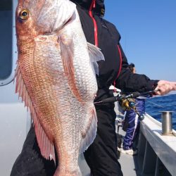 だて丸 釣果