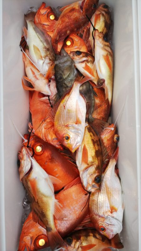 第二龍勢丸 釣果