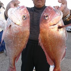 第三共栄丸 釣果