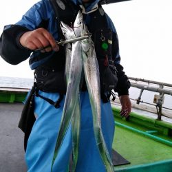 小島丸 釣果
