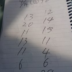 金沢八景鴨下丸 釣果